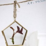 Glass Photo Frame simplified chinese
